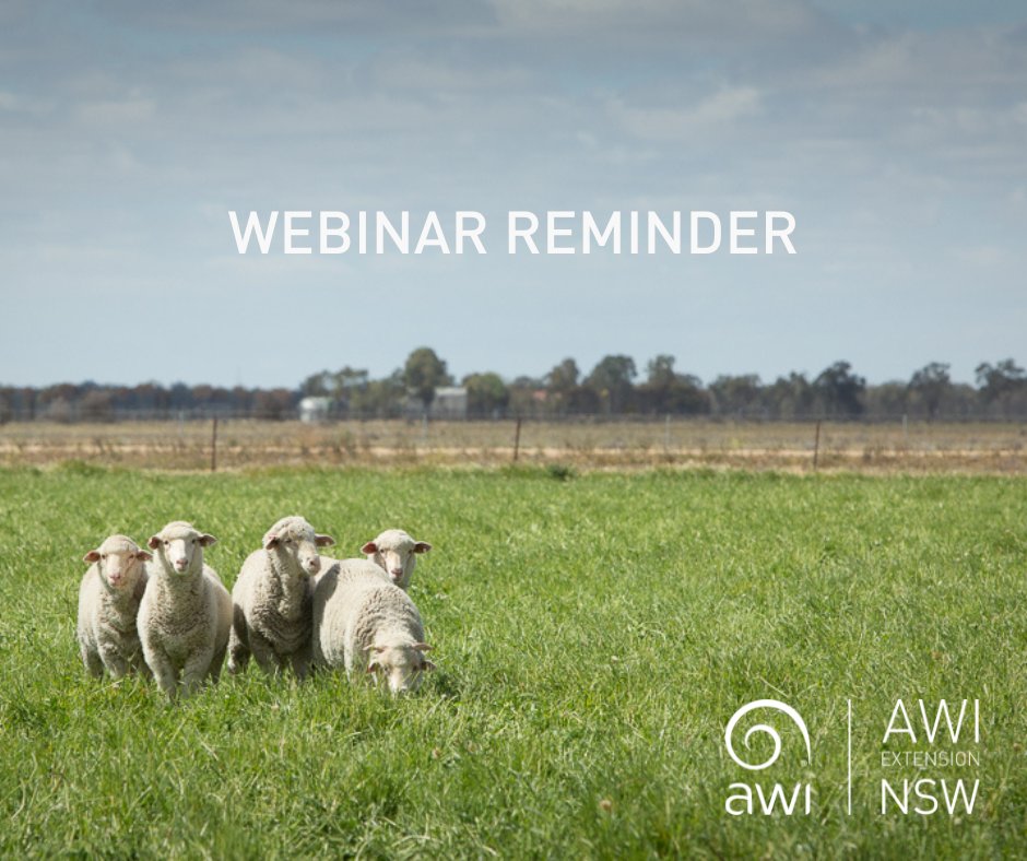 Time for a refresher on worms, drench resistance and getting a head start on the worms for the winter ahead!
You are invited to join our monthly webinar, where we will discuss:

🪱 Tackling drench resistance and winter worm management 🪱

Delivered by veterinary parasitologist