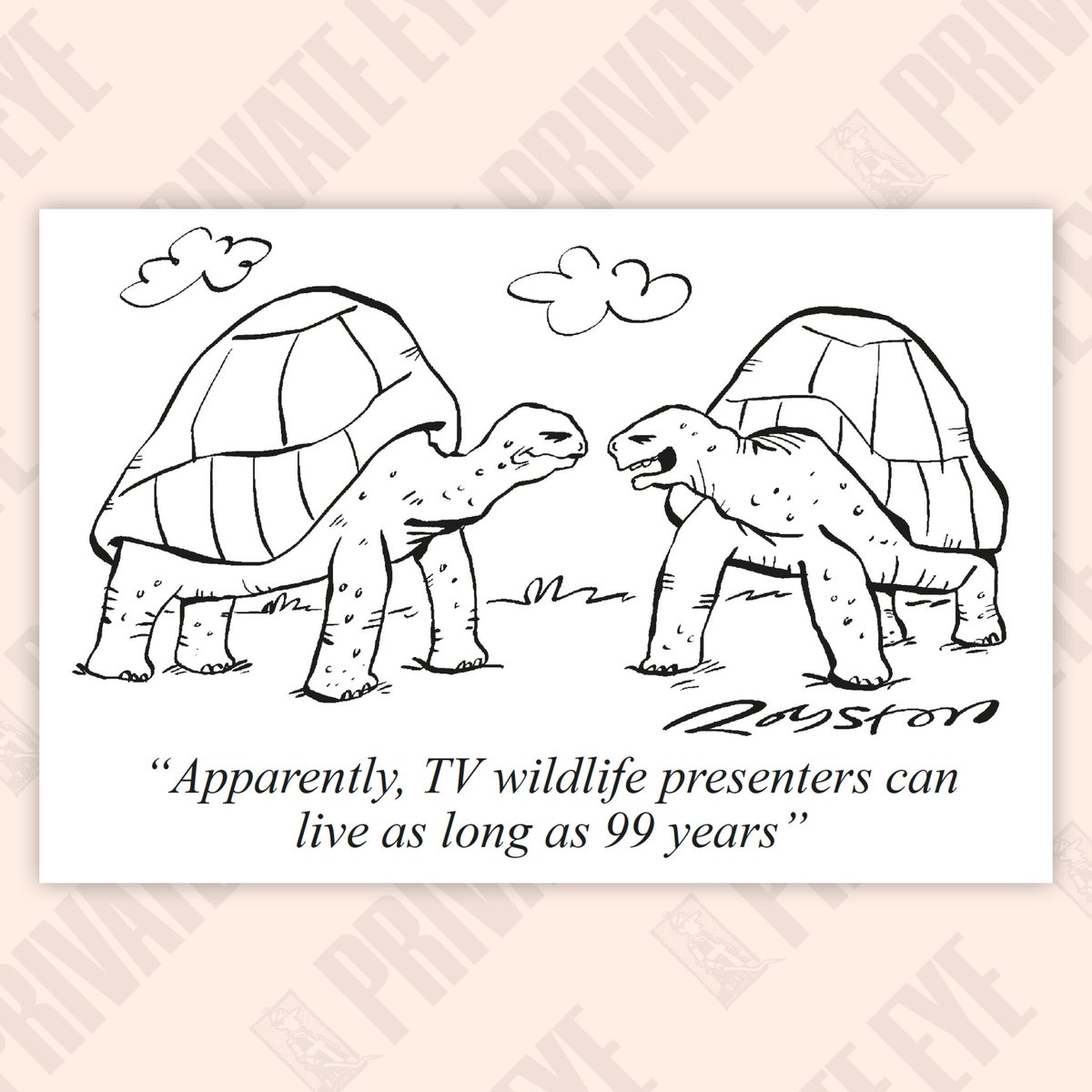 “Apparently, TV wildlife presenters can live as long as 99 years”

From the new Private Eye, in shops now.