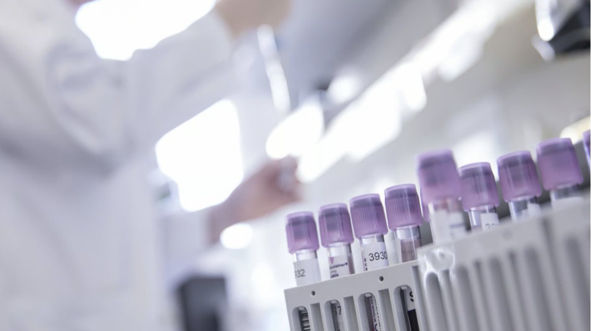 Global MPN Scientific Foundation (@gmpnsf) on Twitter photo ๐ Today we take a step forward.
<a href="/MPNWorld/">MPN World</a> will be presented at #MPNEURONET2025, in front of the global MPN medical community.
A platform created by patients, now connecting across borders.
๐ gmpnsf.org/post/mpn-worldโฆ
<a href="/mpdrc/">Ruben A. Mesa, MD</a>, <a href="/harrisoncn1/">Claire Harrison</a> ๐ Today we take a step forward.
<a href="/MPNWorld/">MPN World</a> will be presented at #MPNEURONET2025, in front of the global MPN medical community.
A platform created by patients, now connecting across borders.
๐ gmpnsf.org/post/mpn-worldโฆ
<a href="/mpdrc/">Ruben A. Mesa, MD</a>, <a href="/harrisoncn1/">Claire Harrison</a>