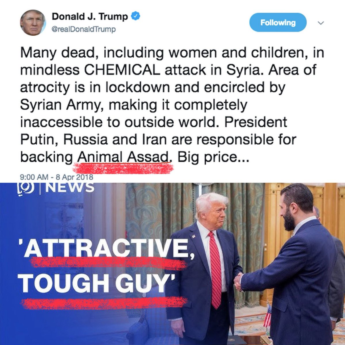 Animal Assad VS. attractive tough guy 😎