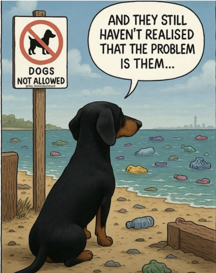 Animals aren't polluting the water bodies. They are witness of what we are doing.
It’s time we realise that discipline, responsibility, and respect for nature start with us — not with the innocent creatures who suffer because of our actions.
Reduce. Reuse. Recycle. 🌍🐾