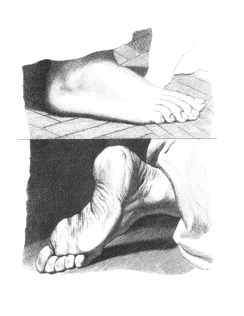 BurstBooksBiz's tweet photo. ✏️ Perfect Your Anatomy Drawings! 🖐️👣

How To Draw Hands, Feet, Arms &amp; Legs the Classical Way is your essential guide to mastering the human form. Explore a stunning collection of classical drawings that will help you understand the proportions, structure, and beauty of these https://t.co/ig2wV9Qhy2