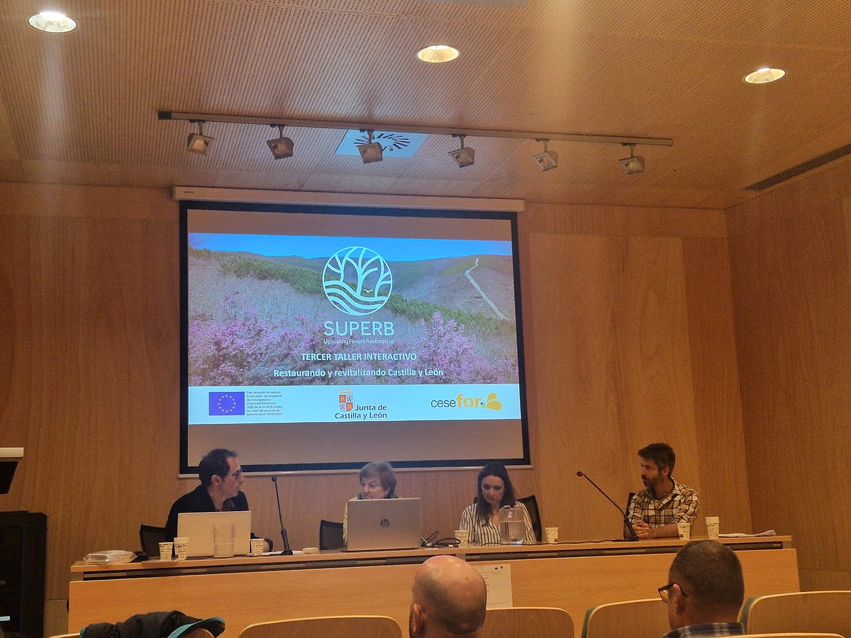 Hemos hablado del Reglamento de Restauración de Naturaleza de #UE, de programas #Micologiacyl, #Bionnomia, de #PatrullaOso, de #Comunicación y #EducaciónAmbiental con <a href="/MarCarnero/">María Carnero</a> <a href="/ErdeGEA/">Erde Gestión Y Educación Ambiental</a>… “La restauración de los ecosistemas no es solo plantar árboles”