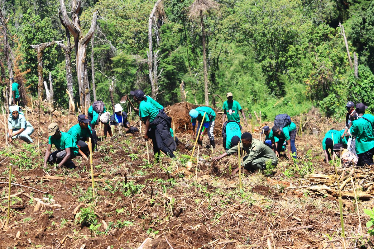 Environment conservation is our responsibility by now.Coming together towards the climate change for a better tomorrow. #kfs #ClimatePolicy
#ClimateAction #dedankimathifoundation 
INEC ibadan