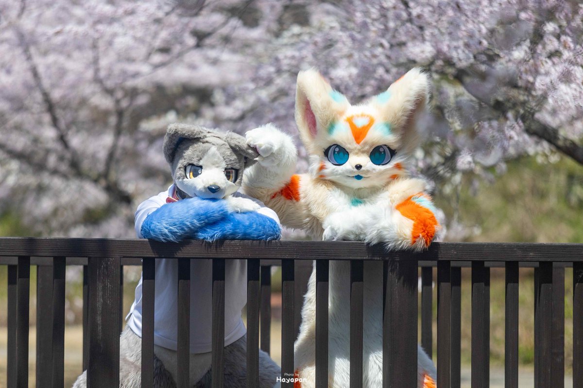 #いぬかのなにか
さいきんのおでかけ