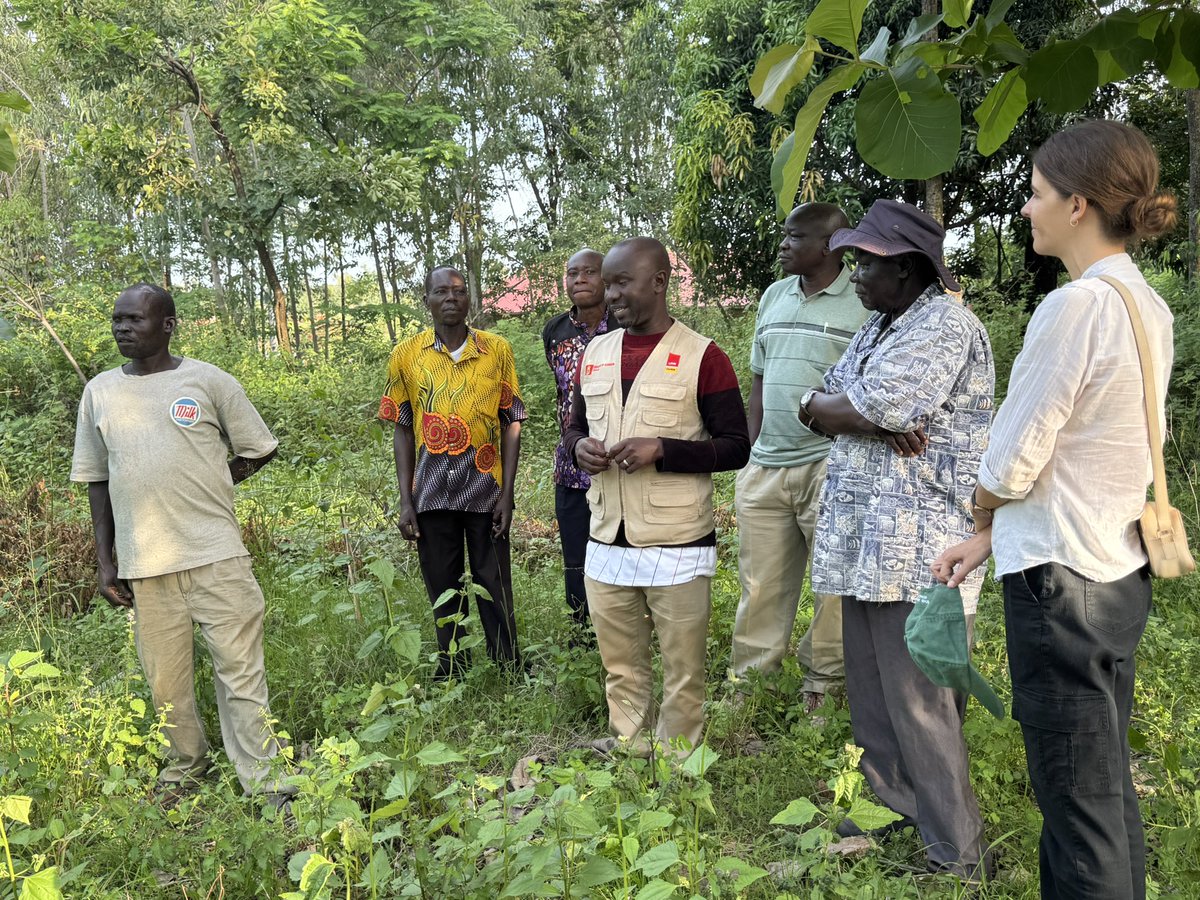URRI_Danida's tweet image. From NURI to URRI: A legacy that grows 🌱
URRI builds on NURI (2018–2023), where 🇩🇰 supported rainwater dams, clean water springs & food forests in Uganda.
#URRI carries this forward—boosting resilience, supporting refugee & host communities, and strengthening livelihoods 🤝