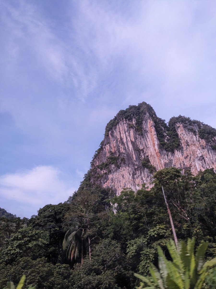 RobBraslin's tweet image. Khao Sok