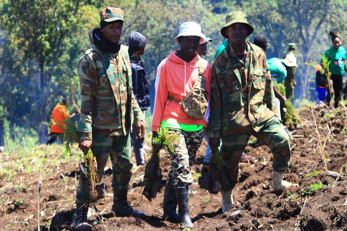 Karasinga (@karasinga3) on Twitter photo Environment conservation champion madam CEO <a href="/evakimathi/">evelyn kimathi</a> <a href="/KeForestService/">Kenya Forest Service</a> and community at large.. Thank you for taking care of our mother Nature Earth 🌍🌎 .
#dedankmathitreenursery #dkf #dityhandscleanenvironment #ClimateAction
#climate #riyadh #riyadh INEC ibadan Environment conservation champion madam CEO <a href="/evakimathi/">evelyn kimathi</a> <a href="/KeForestService/">Kenya Forest Service</a> and community at large.. Thank you for taking care of our mother Nature Earth 🌍🌎 .
#dedankmathitreenursery #dkf #dityhandscleanenvironment #ClimateAction
#climate #riyadh #riyadh INEC ibadan