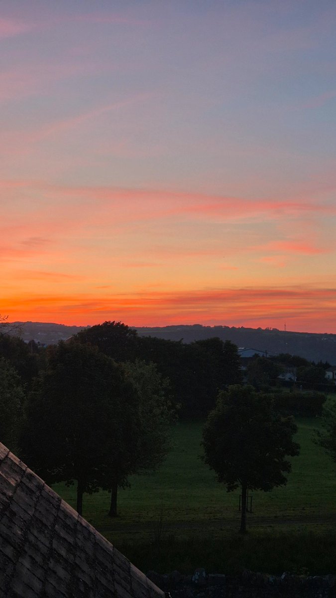 SamuelCoop's tweet image. Up the Guard x