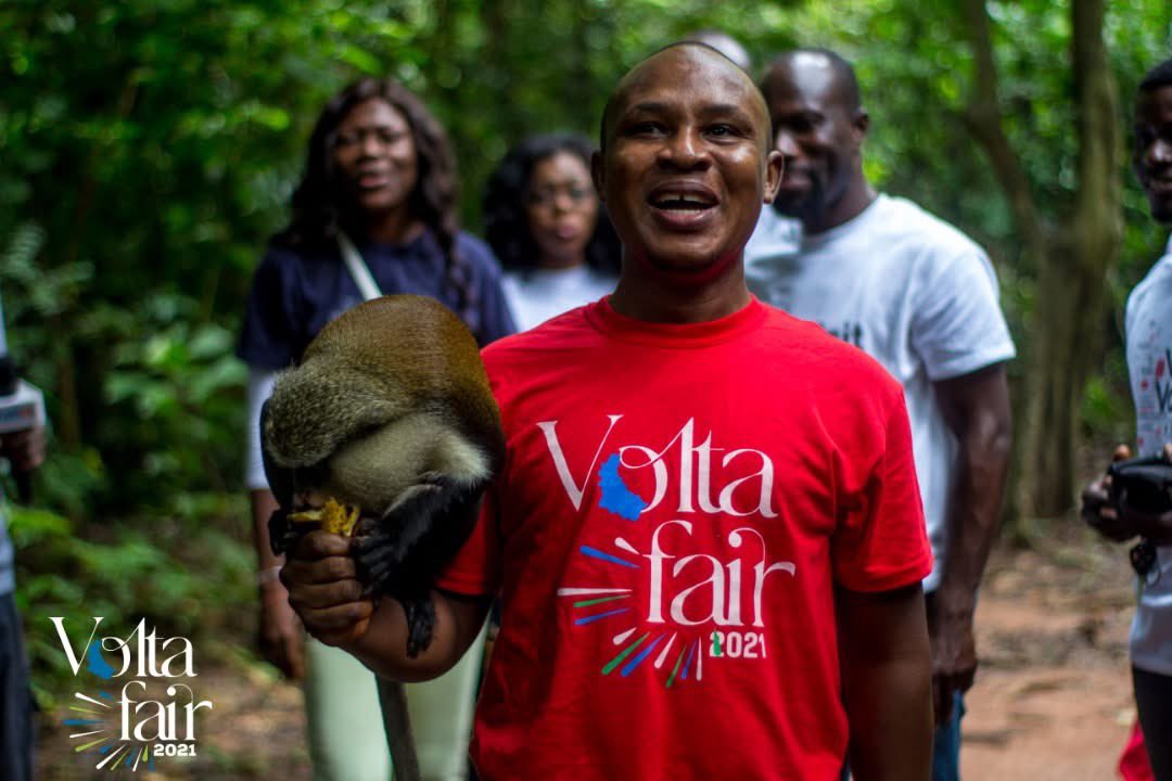 Visit Volta tweet media