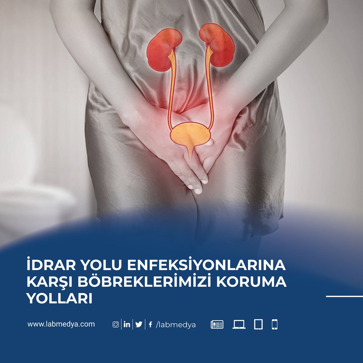 labmedya's tweet image. İdrar yolu enfeksiyonları sık görülse de, vücudumuzun onları böbreklere ulaşmadan durdurmak için geliştirdiği savunma mekanizmaları oldukça etkileyici.

Haber: labmedya.com/idrar-yolu-enf…

#netosis #iye #bağışıklıksistemi #böbreksağlığı #tıparştırmaları #ürinerenfeksiyon
