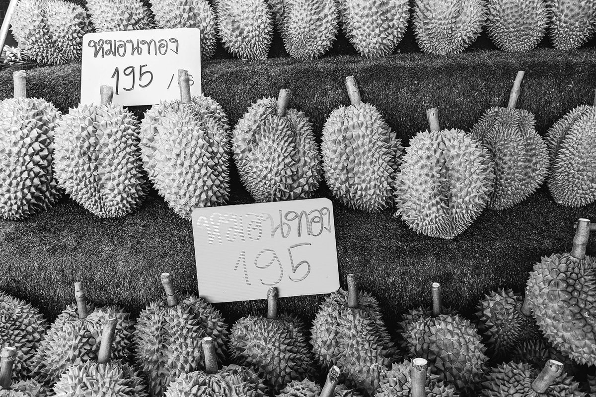 Ash Terri tweet media