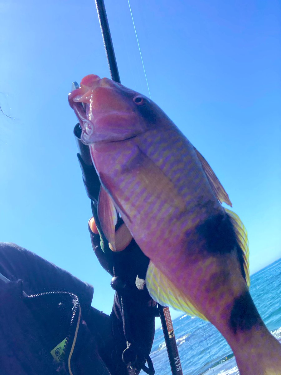 ちなみに昨日は
お暇をいただきまして
リーフフィッシングに行ってきました。

夏はもうすぐそこですね☀️

店長