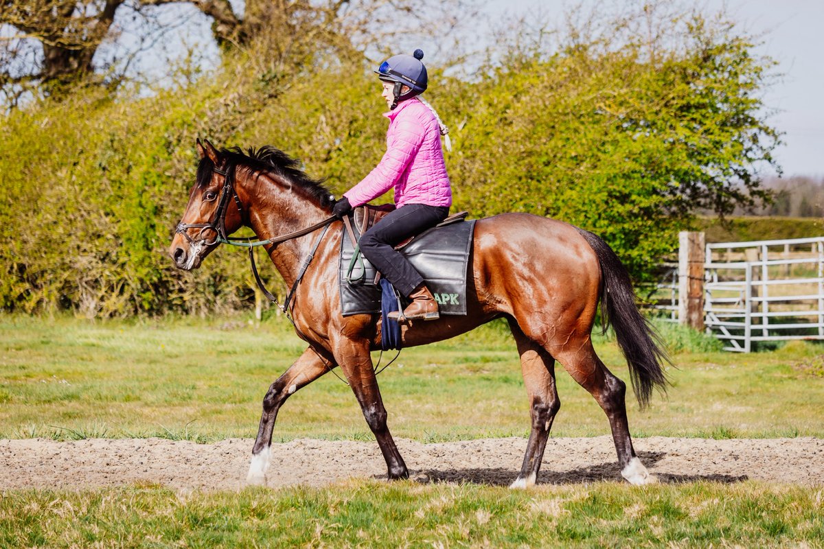 Keatley Racing (@adrian_keatley) on Twitter photo Back on the Knavesmire for Day 2 of the Dante meeting. Best of luck to connections of ROMIEU & GOING COMMANDO 🤞🏼 <a href="/NBradleyRacing/">Nick Bradley Racing</a> #KeatleyRacing Back on the Knavesmire for Day 2 of the Dante meeting. Best of luck to connections of ROMIEU & GOING COMMANDO 🤞🏼 <a href="/NBradleyRacing/">Nick Bradley Racing</a> #KeatleyRacing