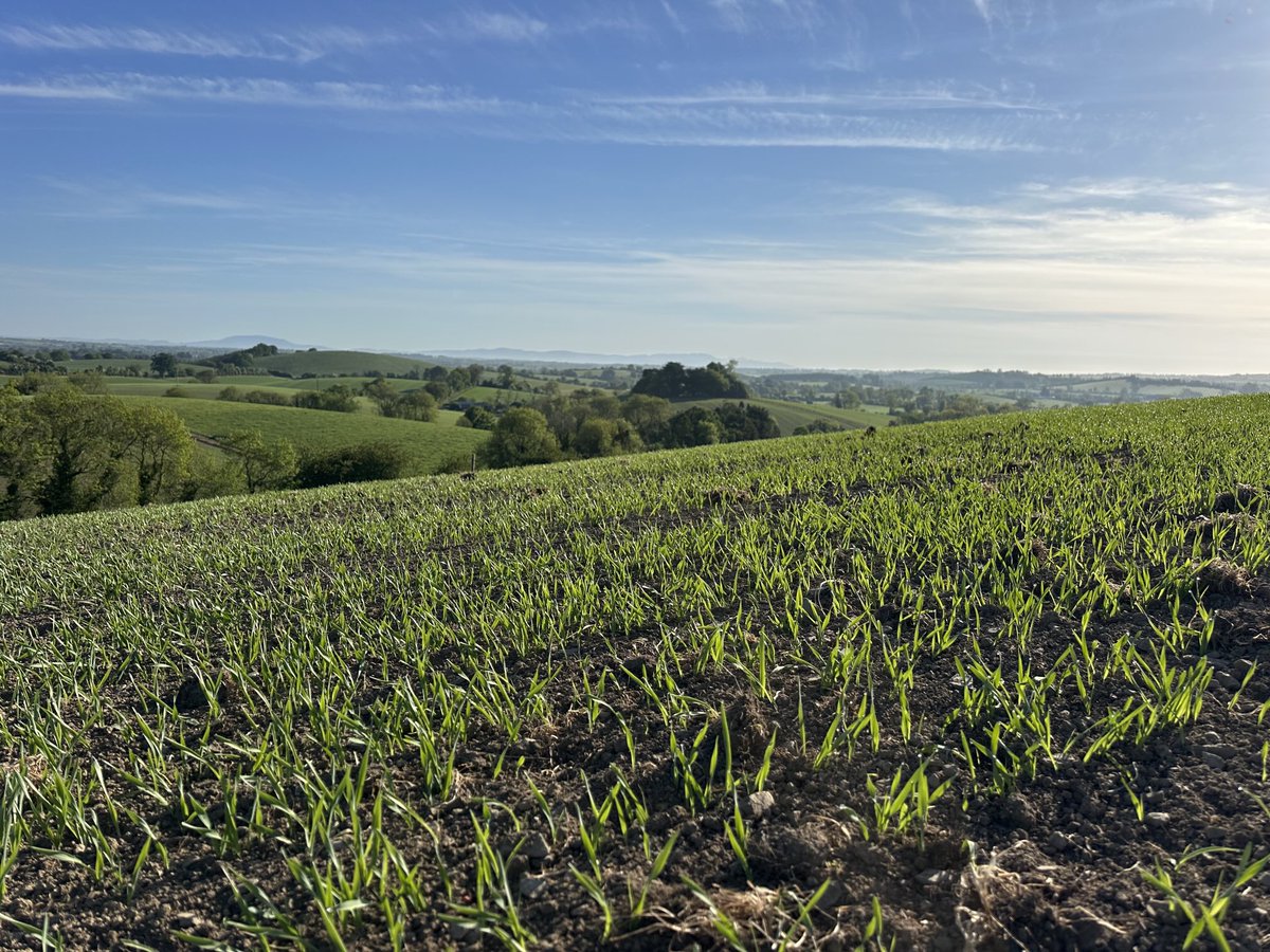 Good morning one and all!!