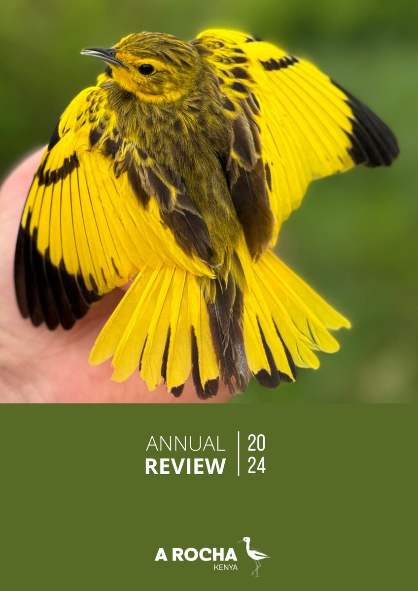 Delighted to share our 2024 Annual Review!

More than a report—it’s a reflection of the stories, the impact, and the quiet hope that shapes A Rocha Kenya’s work.

Read here 👉 heyzine.com/flip-book/24dd…

#ARochaKenya #AnnualReview #ConservationHope