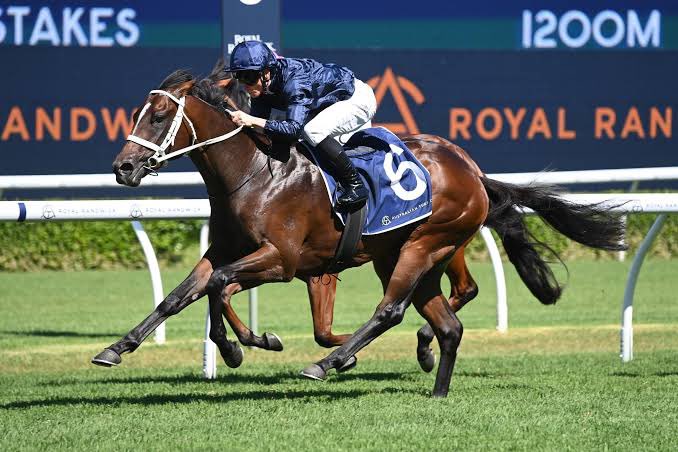 Switzerland and Private Life have settled in at Coolmore Australia and are available for inspection. 

If you’re in Scone for the races, call a member of the sales team to arrange an inspection on Saturday or Sunday.

#CoolmoreSires #HomeOfChampions