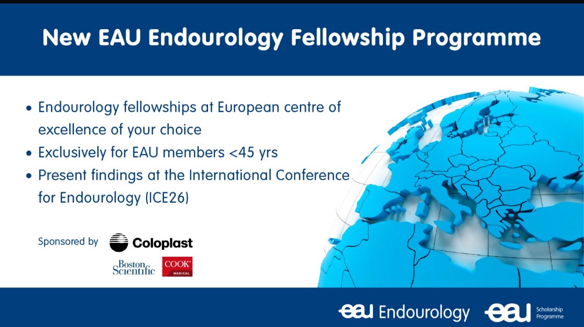 Great opportunity <a href="/Uroweb/">European Association of Urology (EAU)</a>