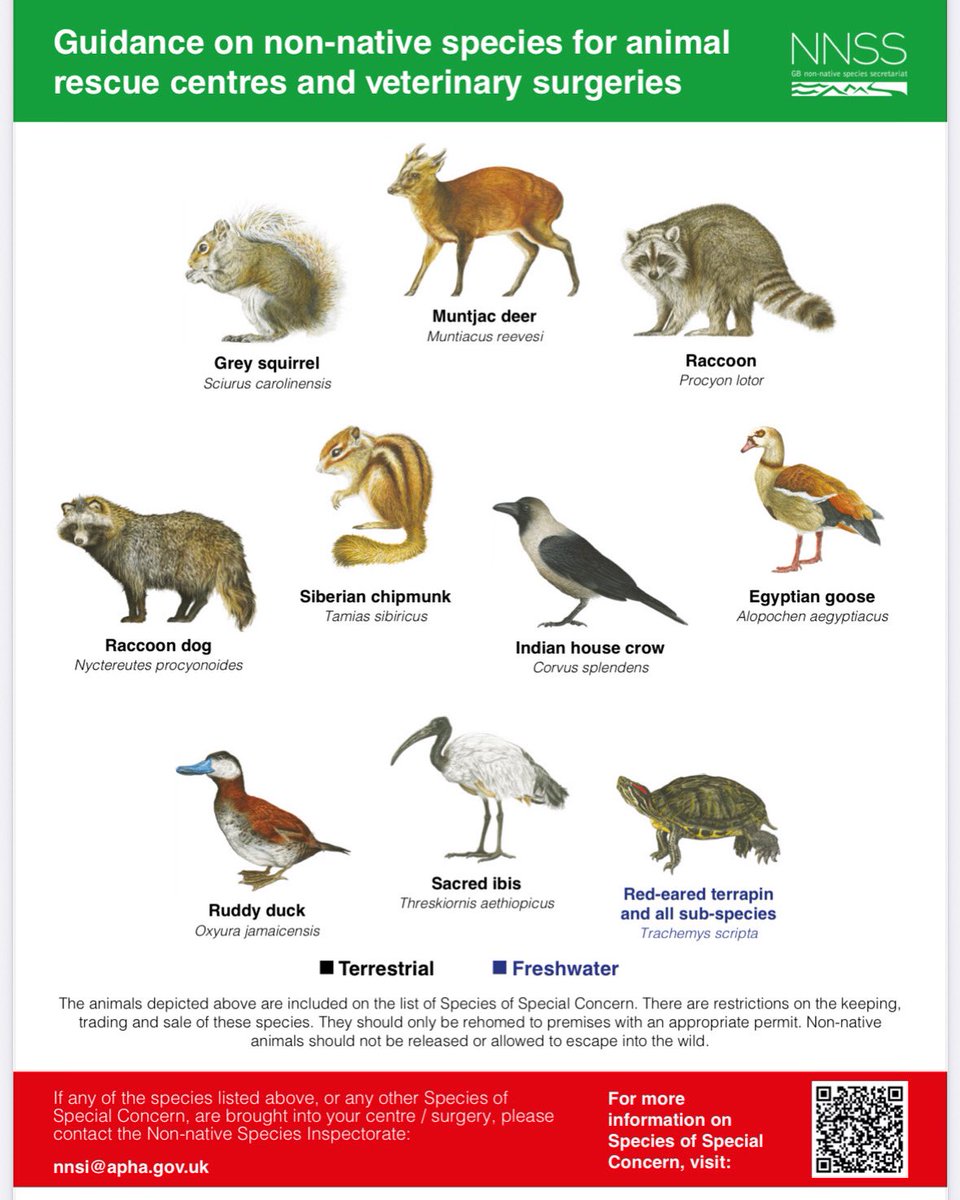 Day 4: Invasive Species Week

Guidance for rescues and veterinary practices on Species of Special Concern.

nonnativespecies.org/#

#education #pond #Rangers #rehomenotrelease #nonnative #animal #public #terrapin #turtle #herpetology #citizenscience #pet #park #pond #lake