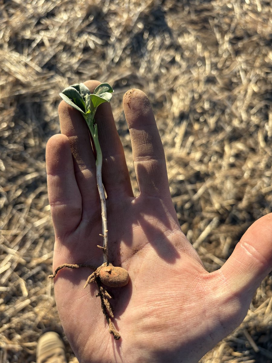 Tom Price tweet media