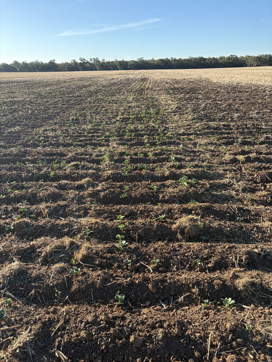 Tom Price tweet media