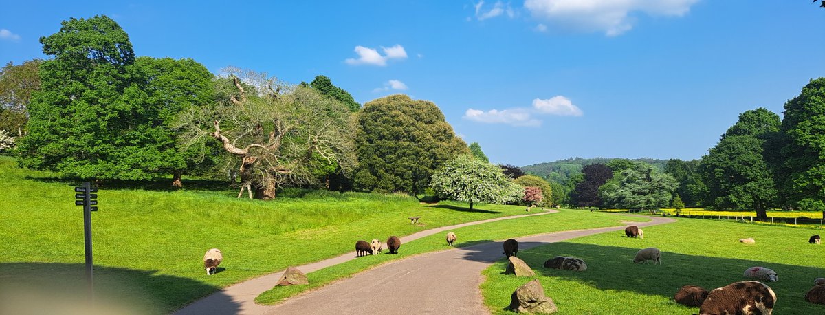 Shelley Tobin tweet media