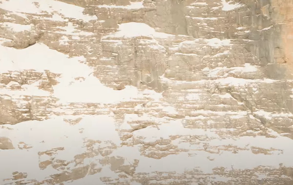 MONSTER_SNOW tweet picture