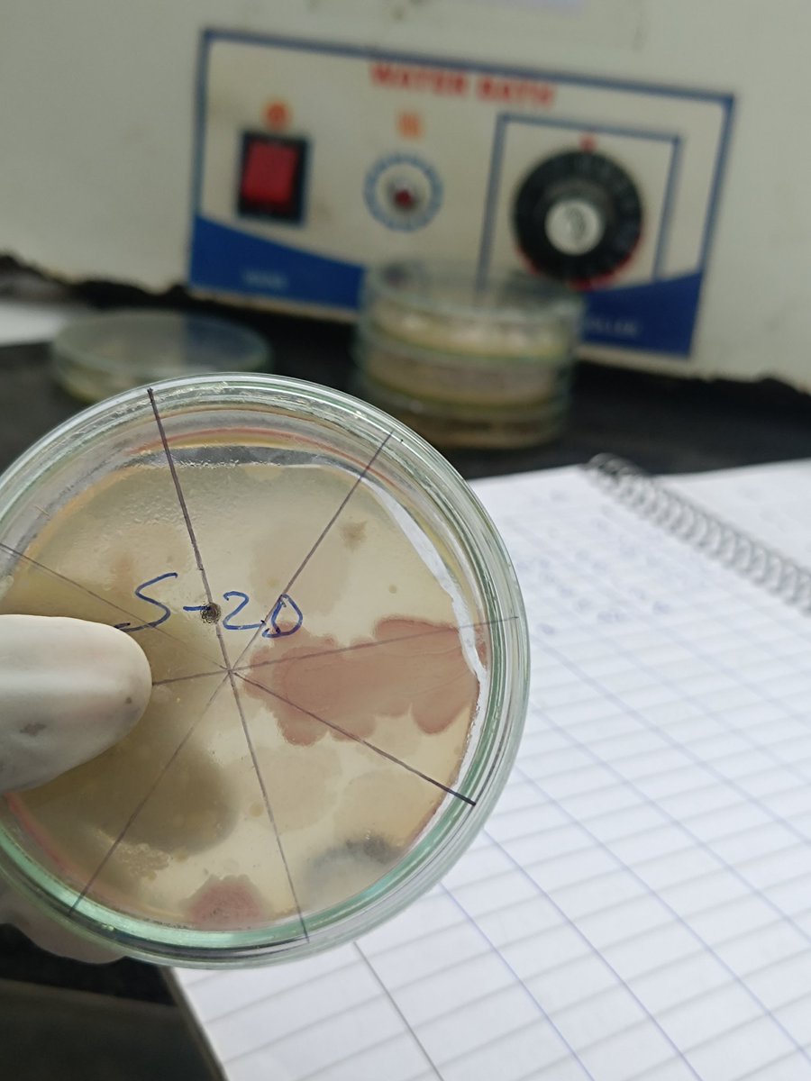 JishuHaldar2's tweet image. Spending my day in the lab, working on my final year project. Slow and steady progress—but it&apos;s happening! #PharmacyLife #LabDiaries #ResearchModeOn