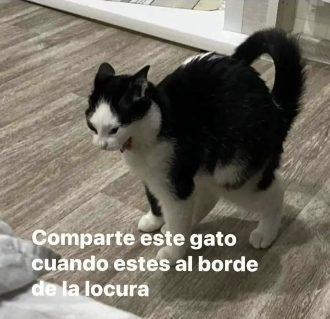 En Júpiter (@en_jupiter_) on Twitter photo 