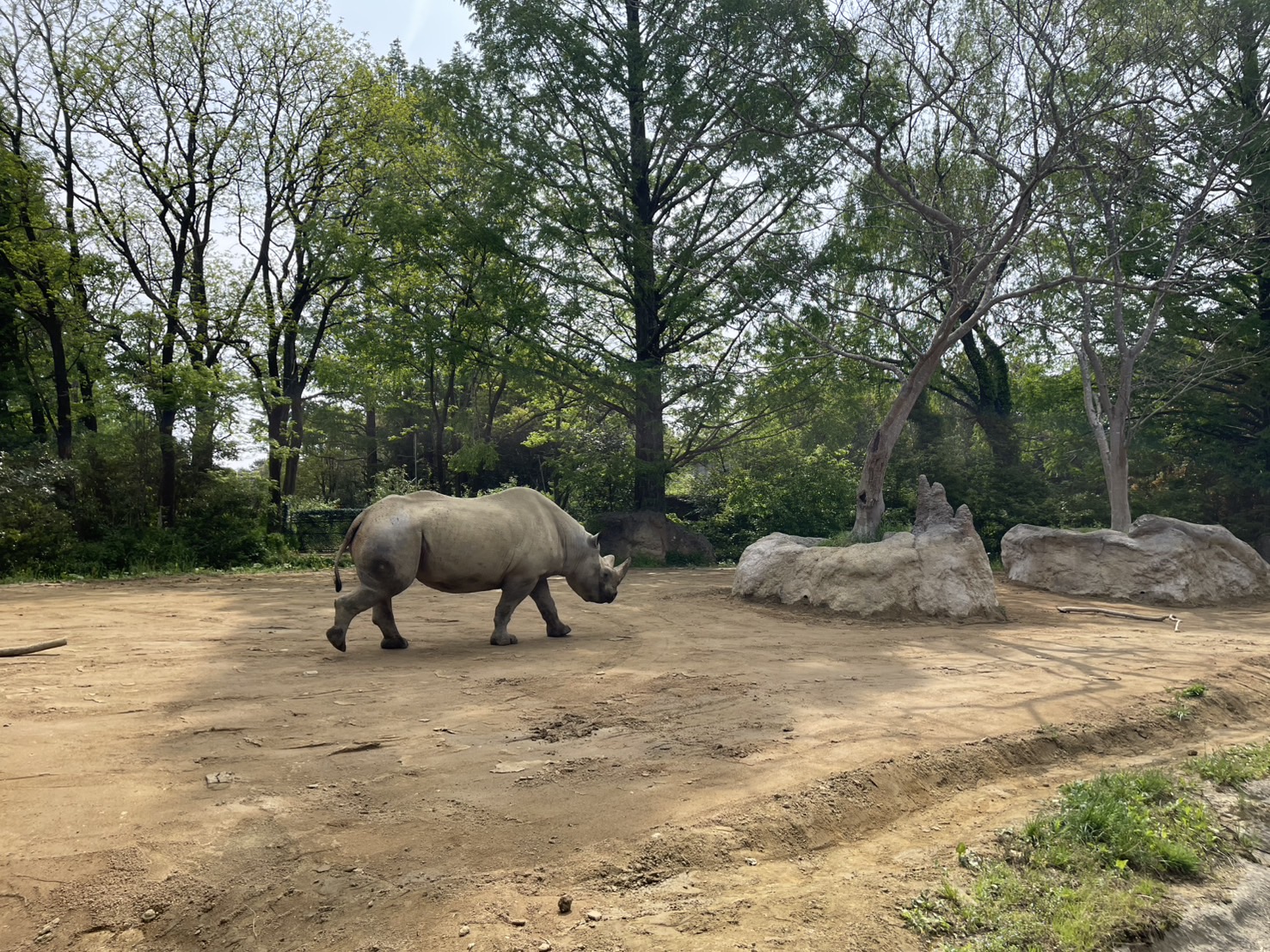 森の中の動物園 日野市】～夏の夜、森の中の動物園へ。～ 「サマーナイト＠Tama