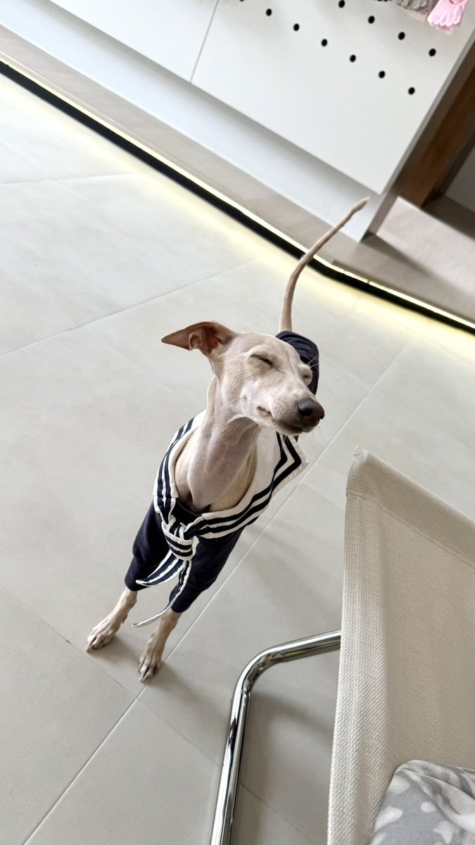 yok_jittraphan's tweet image. ออกเผื่อโซแบมทุกวัน โซแบมติดงาน