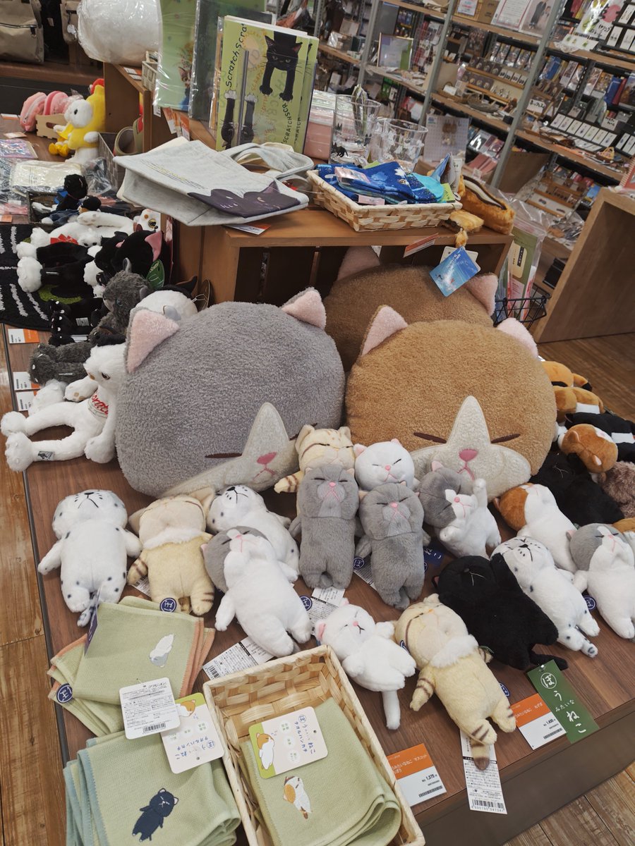 t_higamatsu's tweet image. 💚雑貨コーナーより💚
「#ぼうねこ」
POP UPショップ開催中💗

お顔も背中も
かわいい🐱💕💕💕

開催は、明後日の日曜
5⃣月1⃣8⃣日まで🥰
ご来店お待ちしてます🐱💗

#TSUTAYA　#雑貨　#猫
#ねこ　#ぼうみたいなねこ

※写真は売場イメージです。