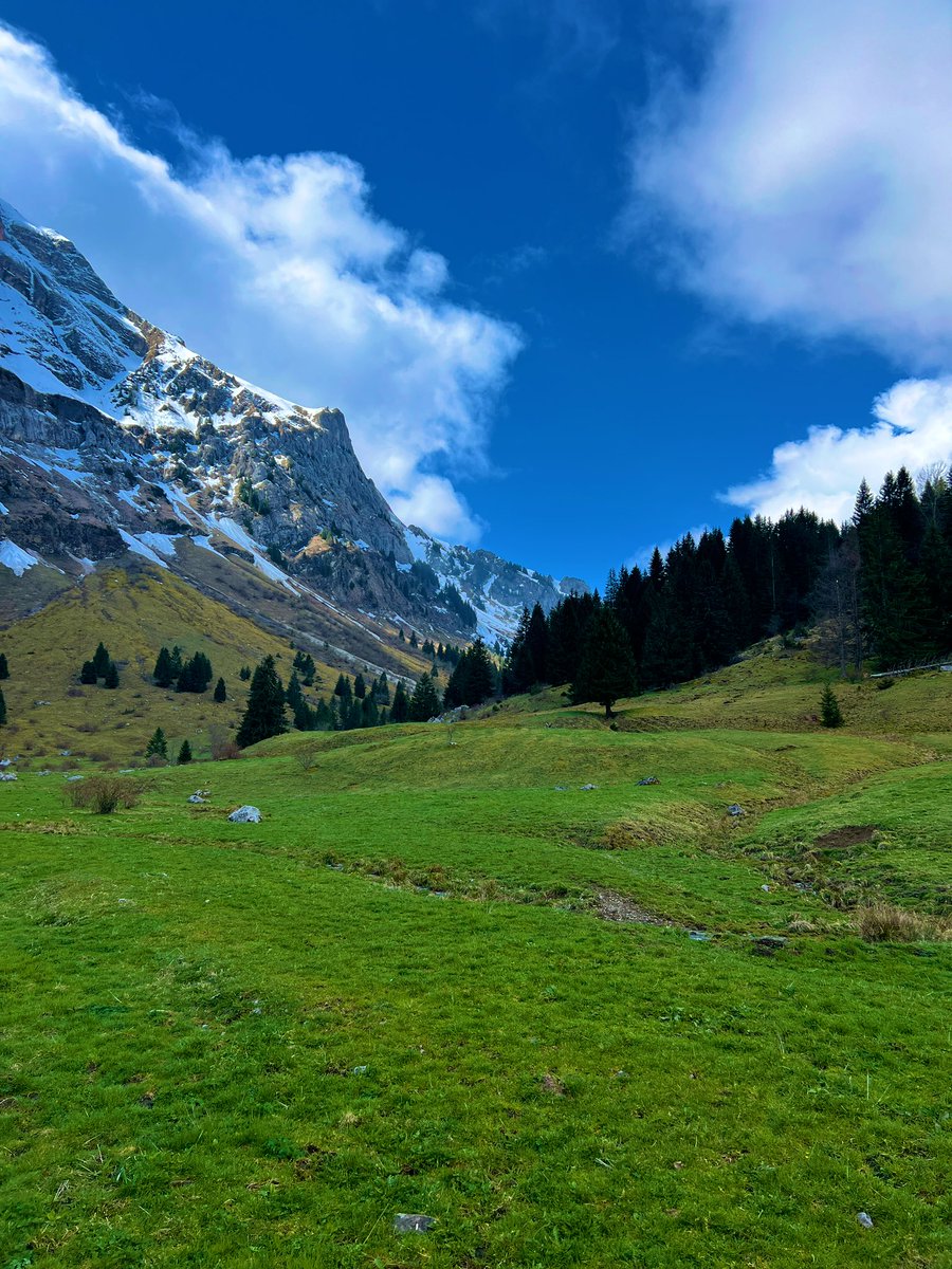 Good morning guys!

When it’s hard, continue.
When you doubt, continue.
When it’s slow, continue.
The ones who go far are the ones who keep going.

Have a great day!