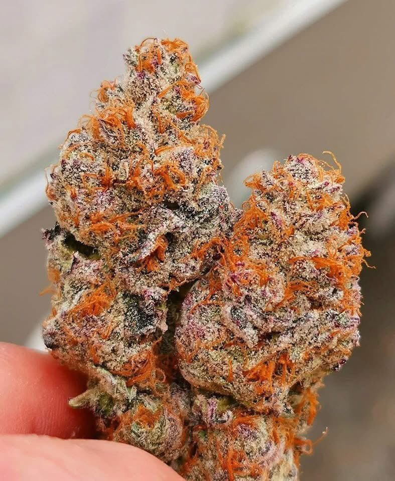 Bud Box puff tweet media
