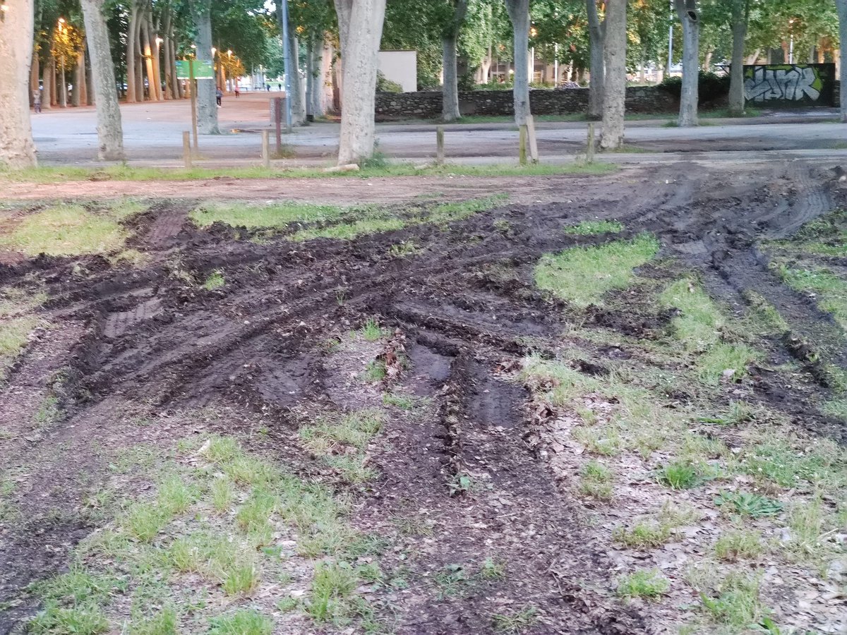 La Devesa tweet media