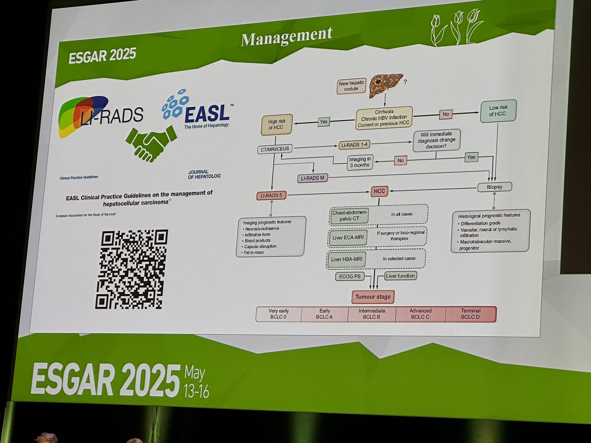 Victoria Chernyak, MD MS FSAR FESGAR FACR (@vchernyakmd) on Twitter photo An outstanding coverage of #lirads diagnostic algorithm and management by <a href="/cannella_rob/">Roberto Cannella</a> #ESGAR2025 An outstanding coverage of #lirads diagnostic algorithm and management by <a href="/cannella_rob/">Roberto Cannella</a> #ESGAR2025