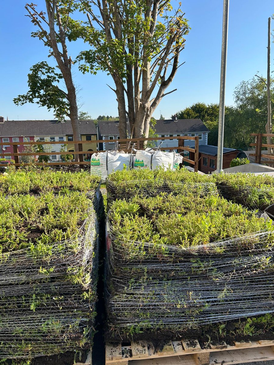 A sign of things to come in our ever evolving Therapy Garden here at Cork ARC Cancer Support House, and all thanks to the support and hard work of some amazing people!

#corkarc
#communitysupport
#4corkarc