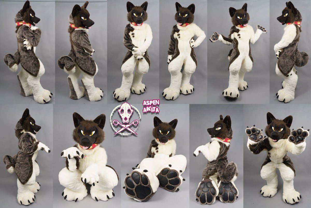 Meet Aspen the Akita!  Had a lot of fun designing this dog and their accessories!

Wanna see more of my WIP work and keep up with project openings? Follow my Bsky or WIP telegram channel!