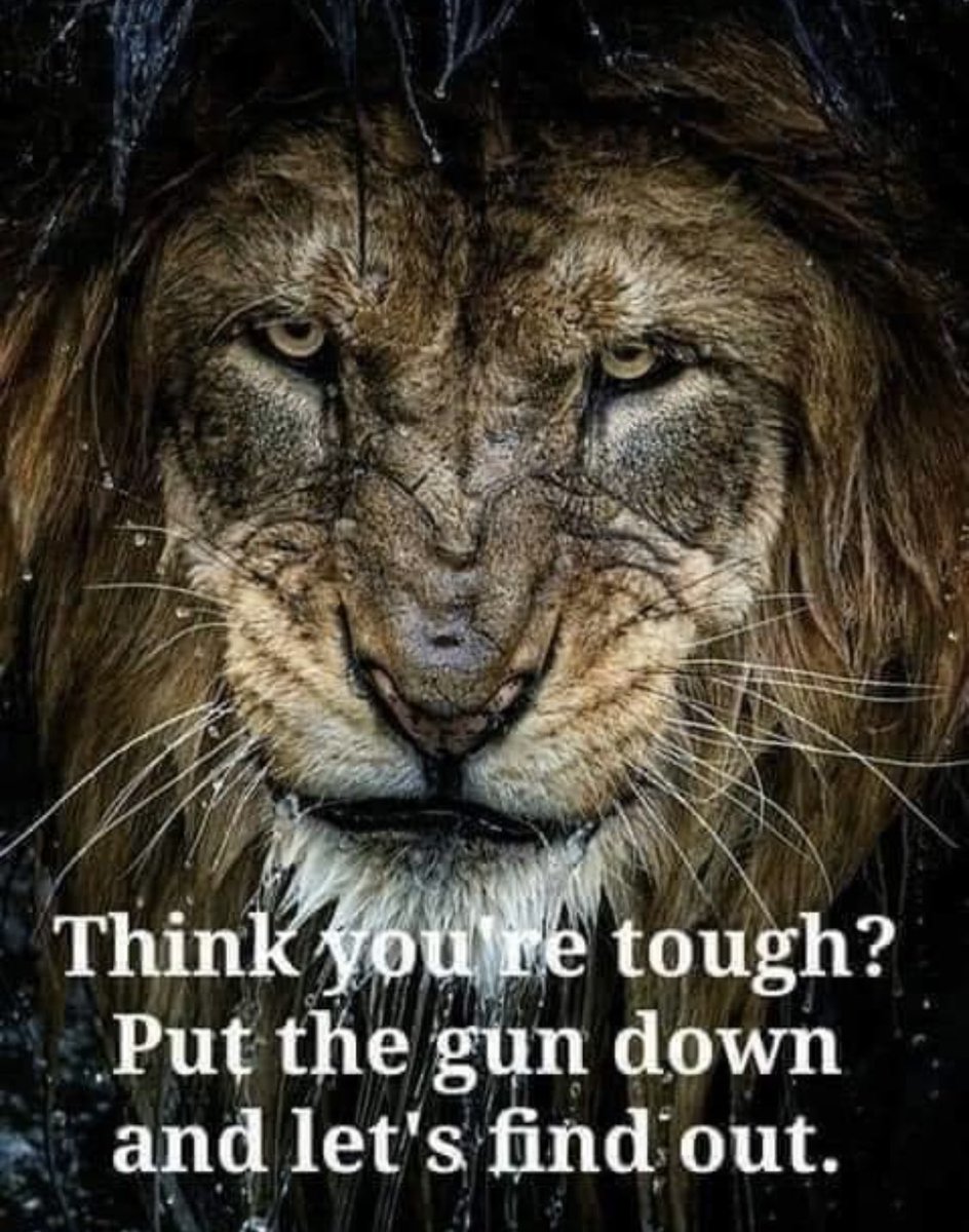 #ThoughtForTheDay 

RT if you want a global ban on #TrophyHunting!