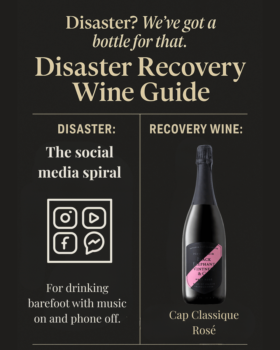 Logged in for 5 minutes… got lost for 2 hours 😵‍💫📱
Reset with MCC Brut Rosé. Vibrant, dry, and very real.
(Pro tip: leave the phone in the other room next time.)

 #DisasterRecoveryGuide #WineNot #SpillTheWine #RealLifeRealWine #InMyGlass #WineCuresAll #DrinkDifferent