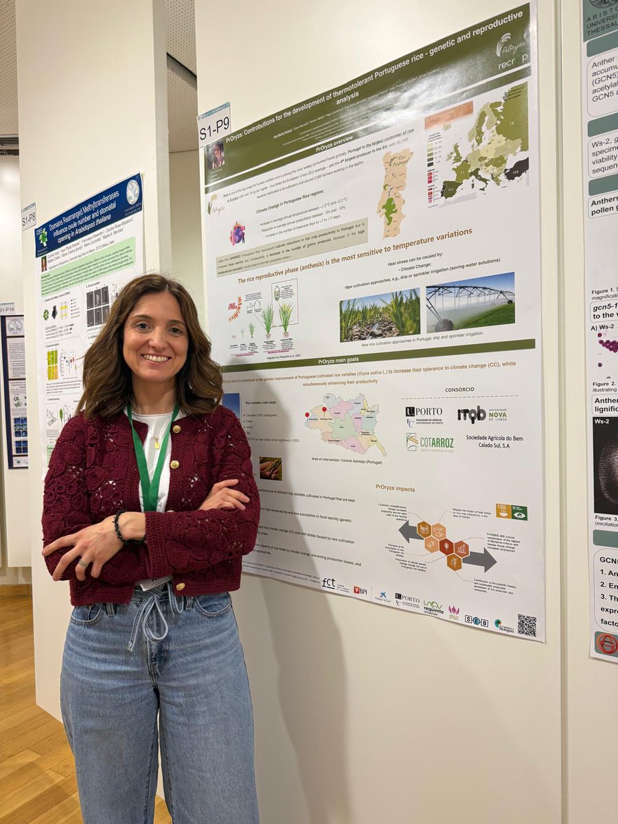📢 Ana Marta Pereira and Rita Queirós are attending the 2nd RECROP Annual Meeting in Thessaloniki, Greece 🌱
Yesterday, they presented their work in poster format, contributing to the discussion on climate resilient crops during reproductive processes 🌼
#RECROP2025#RECROPCOST