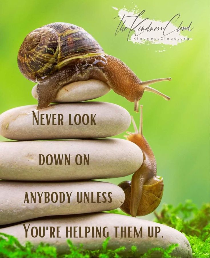 POSITIVITY (@positivitysaid) on Twitter photo 