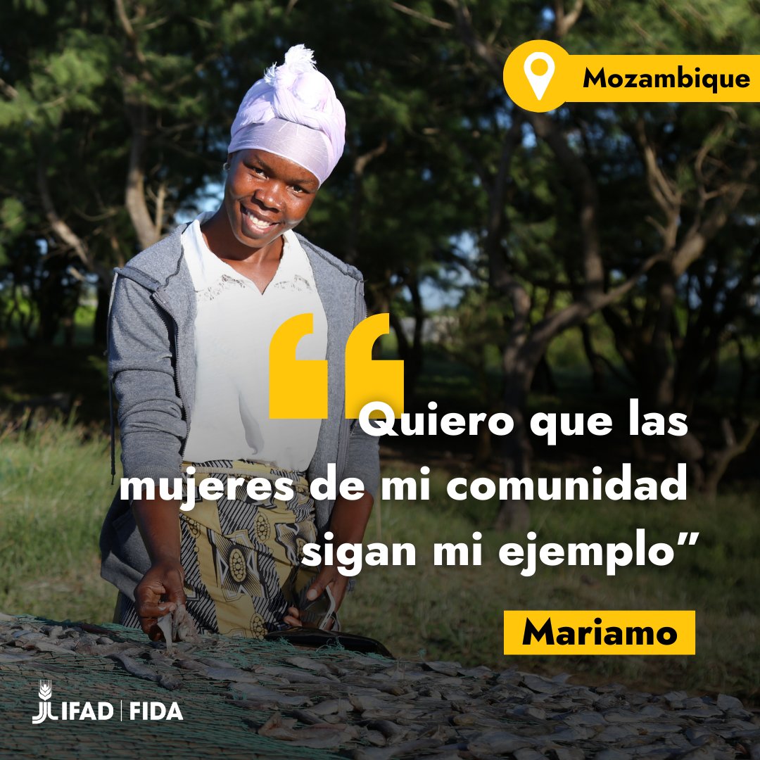 IFADespanol's tweet image. ¡La historia de Mariamo es solo una entre muchas!
Únete a nosotros para celebrar la resiliencia de las comunidades costeras.
Juntos, podemos asegurar un futuro próspero para nuestros océanos y las personas que dependen de ellos.
Lee su historia💻 ow.ly/AFVn50VOjYV