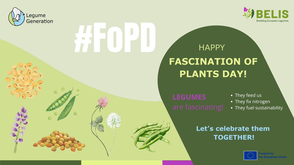 🤩🌱#FascinationofPlantsDay is coming!

To celebrate, <a href="/BELIS_EU/">BELIS Project</a> &amp; sister project
#LegumeGeneration prepared a campaign on the value of legumes + fun facts about 6⃣ shared crops!

ℹ️ legumegeneration.eu | belisproject.eu
Stay tuned! 🔜

#legumebreeding

<a href="/EPSOEurope/">EPSO</a>