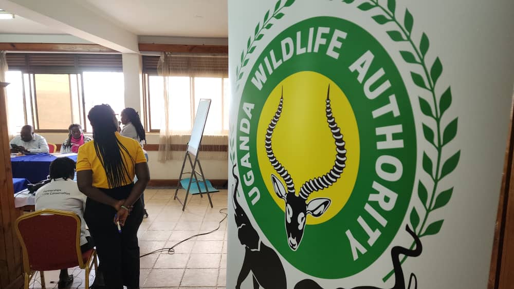 Akampa Gilbert Kakurugu (@gilbertakampa) on Twitter photo Wildlife and it's Habitat cannot speak, so we must and we will.
<a href="/anitarita/">Annita</a> <a href="/CharolFhidhel/">Charol Fhidhel</a> <a href="/tush_andre/">Tushabe Andrew</a> <a href="/bashirhangi/">Bashir Hangi MCIPR</a> <a href="/ugwildlife/">Uganda Wildlife Authority</a> Wildlife and it's Habitat cannot speak, so we must and we will.
<a href="/anitarita/">Annita</a> <a href="/CharolFhidhel/">Charol Fhidhel</a> <a href="/tush_andre/">Tushabe Andrew</a> <a href="/bashirhangi/">Bashir Hangi MCIPR</a> <a href="/ugwildlife/">Uganda Wildlife Authority</a>