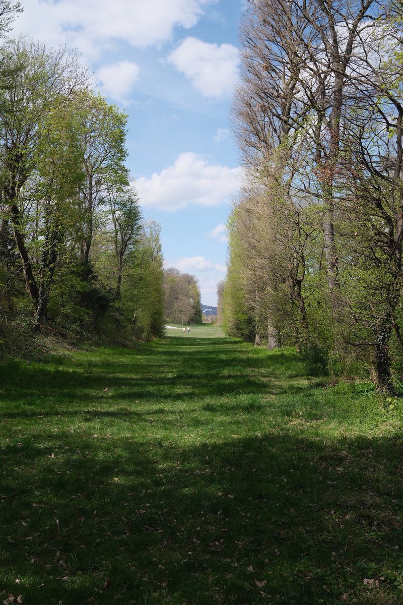 meiaimu's tweet image. 🌳🚶🏻‍♀️🌳