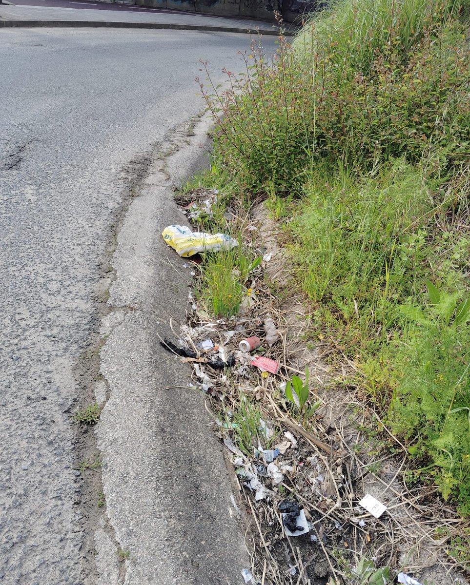 sector7_coruna's tweet photo. 😤 Lo q en una primera foto puede parecer un semillero de lechugas, le sigue un barrio lleno de maleza y descuidado. Llevamos más de un año intentando reunión, seguimos aquí en el mapa. @CorunaSostible (1/2)
#coruña #someso #recintoferial https://t.co/7AoK989hFf
