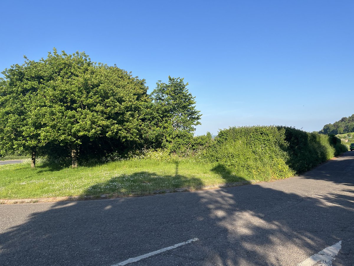 beachcomber50's tweet photo. A planning application for a service station including drive-thru coffee shop will soon be considered for this green space approaching Minehead. I’m very concerned it could be granted if people don’t fight to save it. Views pls? @CPRESomerset @CPRE @NaturalEngland @ChrisGPackham https://t.co/KkRKbWA8Lg