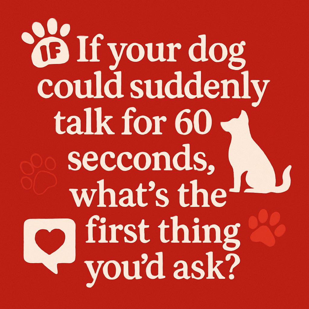 Phil Sledge tweet media