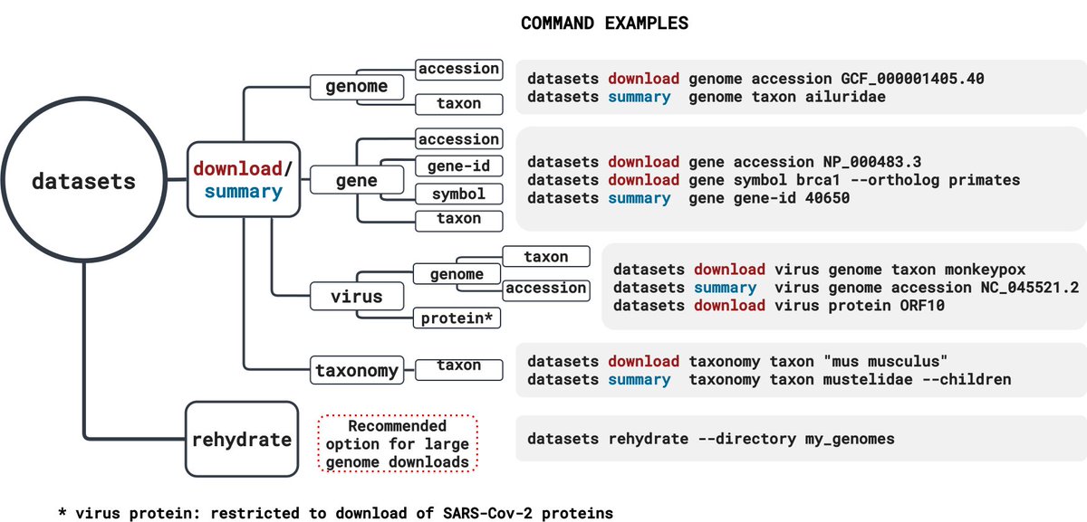 BContrerasMoreira (@brunocontrerasm) on Twitter photo Aprende a descarga datasets del NCBI desde el terminal en bioinfoperl.blogspot.com/2025/05/descar… Aprende a descarga datasets del NCBI desde el terminal en bioinfoperl.blogspot.com/2025/05/descar…